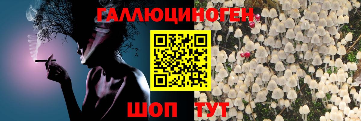 Орск  Псилоцибиновые грибы Magic Shrooms  Вход с VPN 